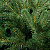 Искусственная ель Ms.Tree, 180 см - миниатюра - рис 3.