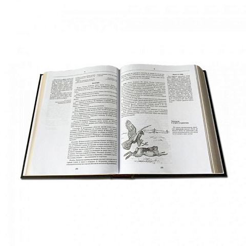 Подарочная книга "Русская охота" (Л.П. Сабанеева) - рис 6.