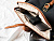 Рюкзак Sloane, темно-серый - миниатюра - рис 7.